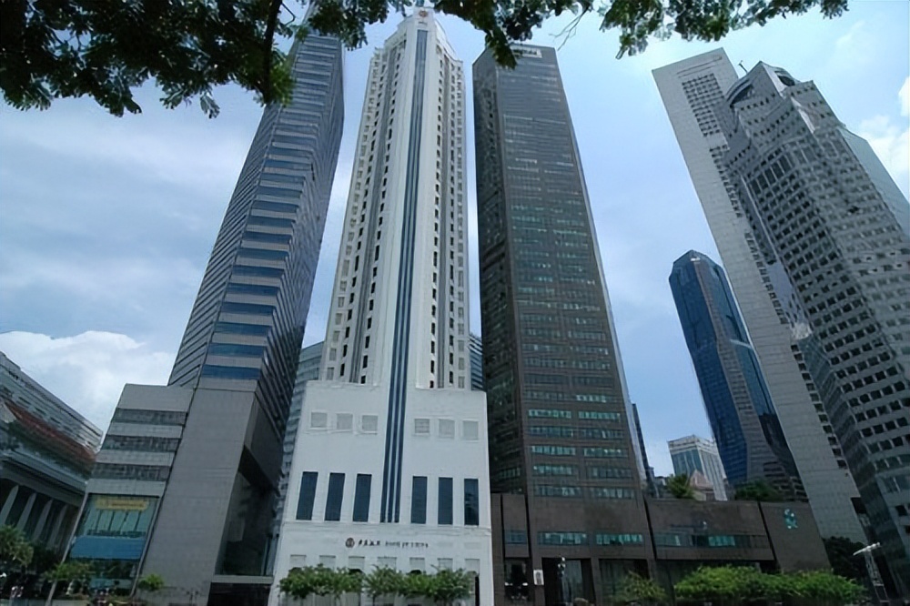 女ceo林晓芸,林晓芸的8700亿身家