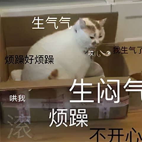 经期怎么吃不长肉是真的吗,经期吃得多不易长胖真的吗