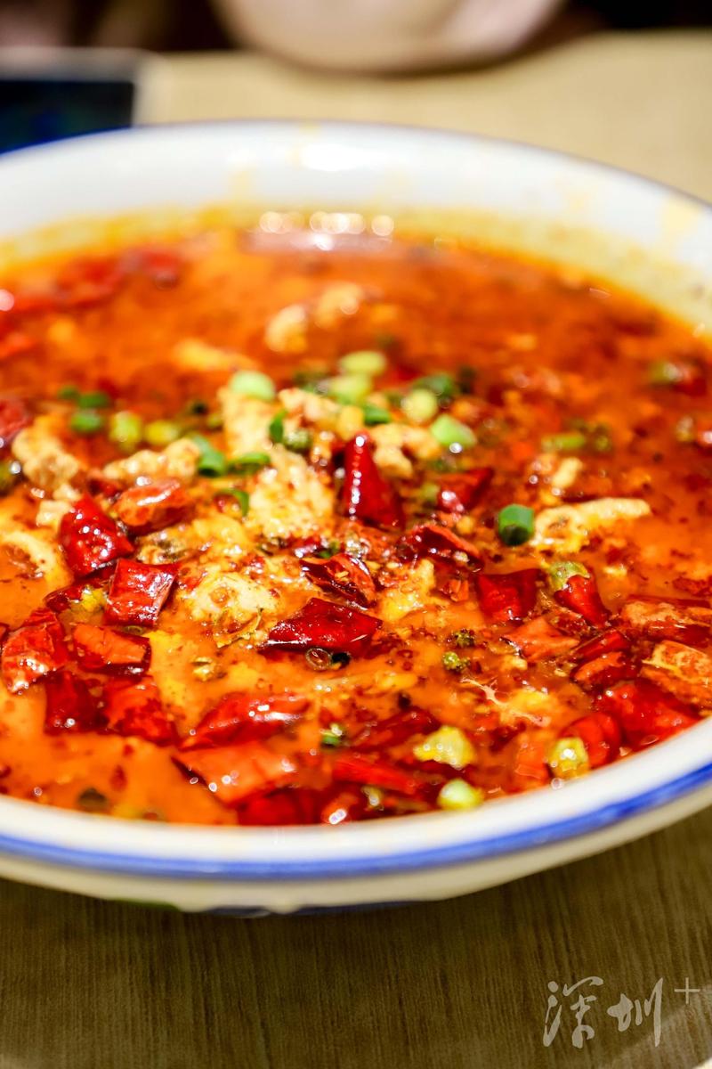 寻味深圳美食文化荟萃,深圳寻味美食推荐店有哪些