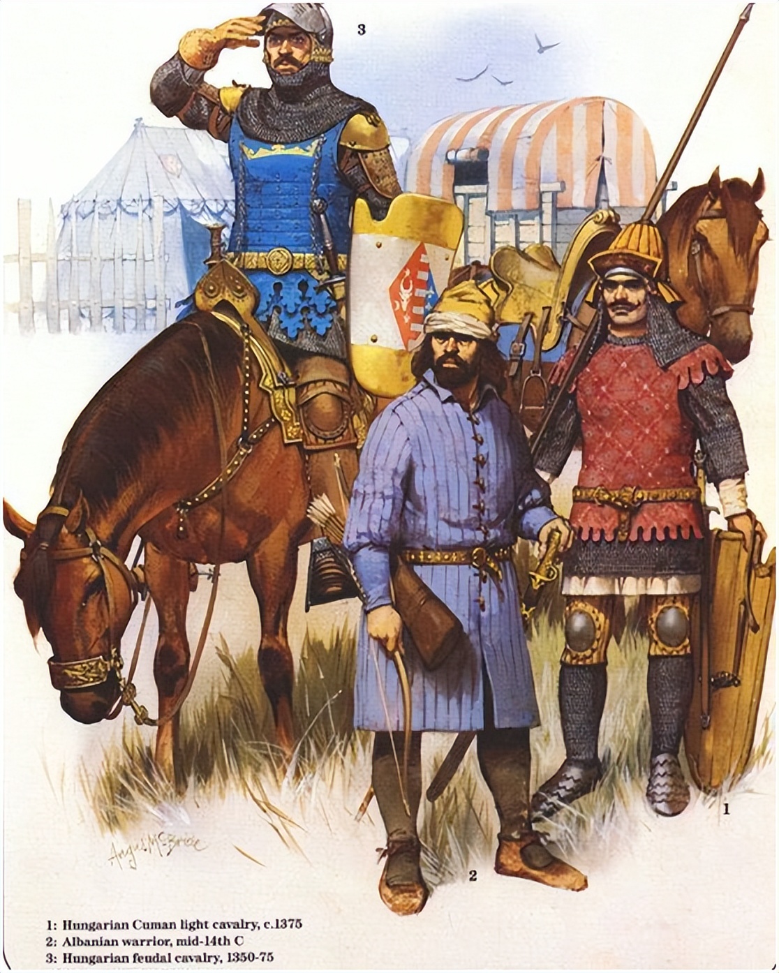 奥斯曼帝国匈牙利塞尔维亚,奥斯曼匈牙利战争