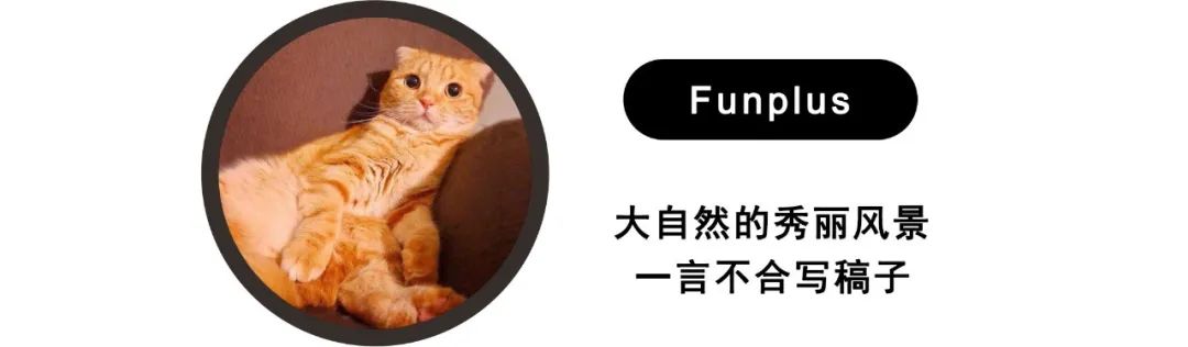 2023款英菲尼迪qx50,2023款英菲尼迪qx50什么时候上市