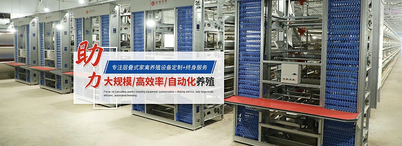 赶鸭子上架其实是好事,赶鸭子上架的含义