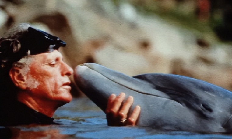 海豚湾到底是怎么回事,冒着生命危险揭露海豚湾秘密