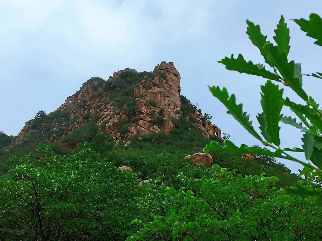 刨药材的视频,刨药材视频