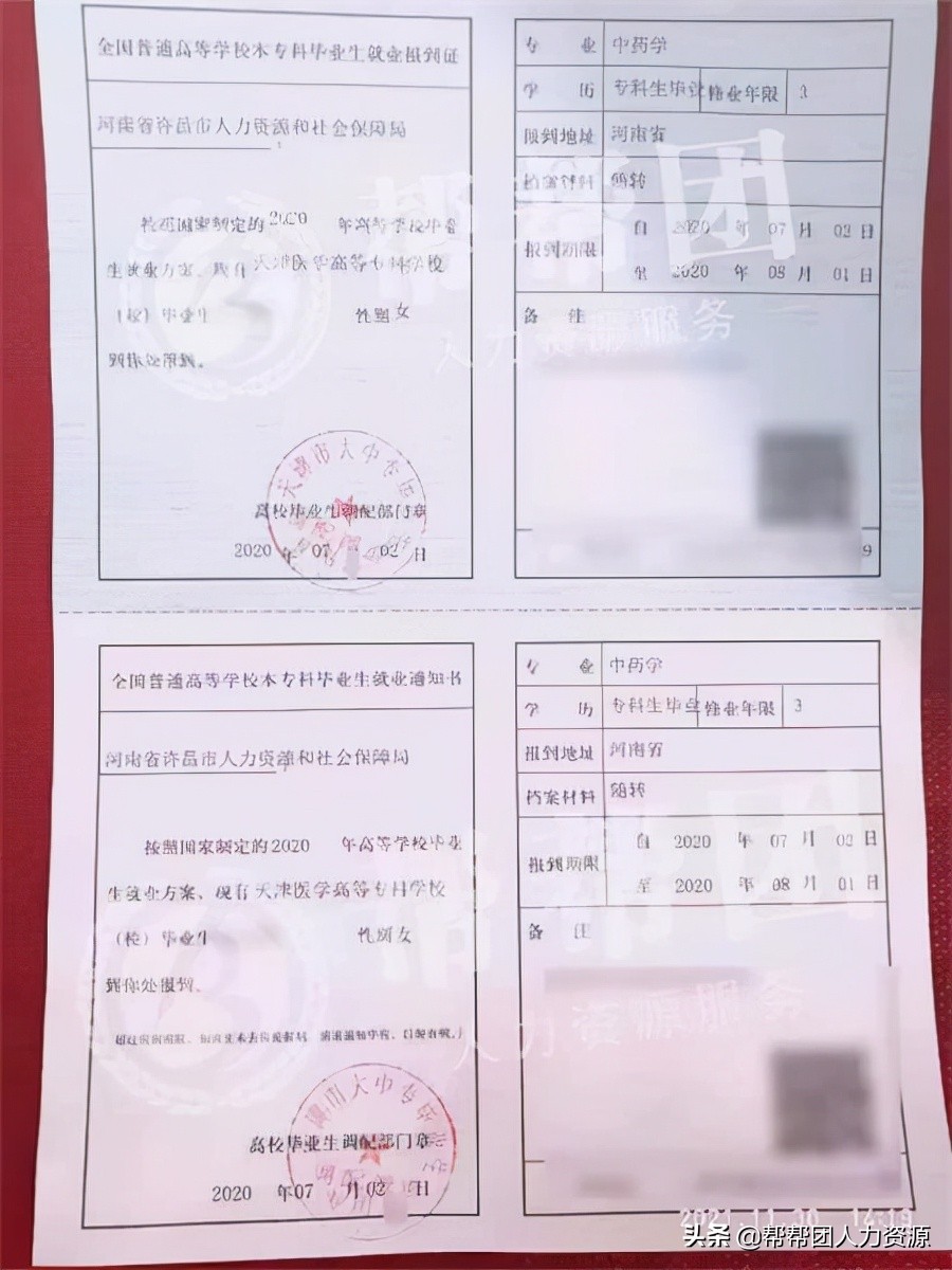 报到证丢了怎么办补办流程,河南报到证怎么补办