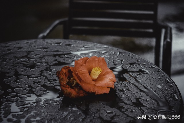 伤感文案关于失落心情扎心语录,伤感情感语录心累时的扎心文案