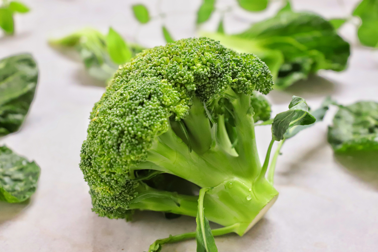 养阳吃什么食物最好,夏季养阳的食物有哪些