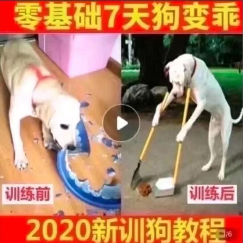 拼夕夕的海报推荐,拼夕夕ins风海报