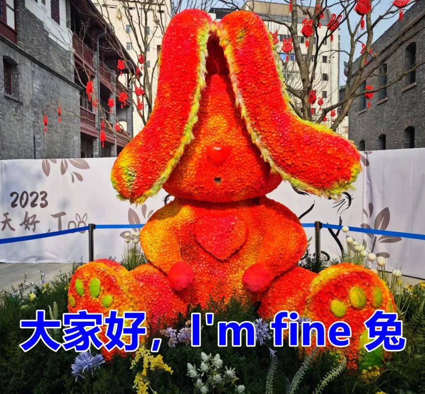 成都人玩的游戏,成都人到处玩