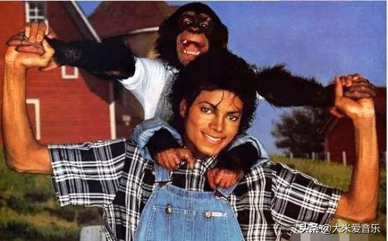 迈克尔杰克逊的三大秘密,迈克尔杰克逊的三个秘密