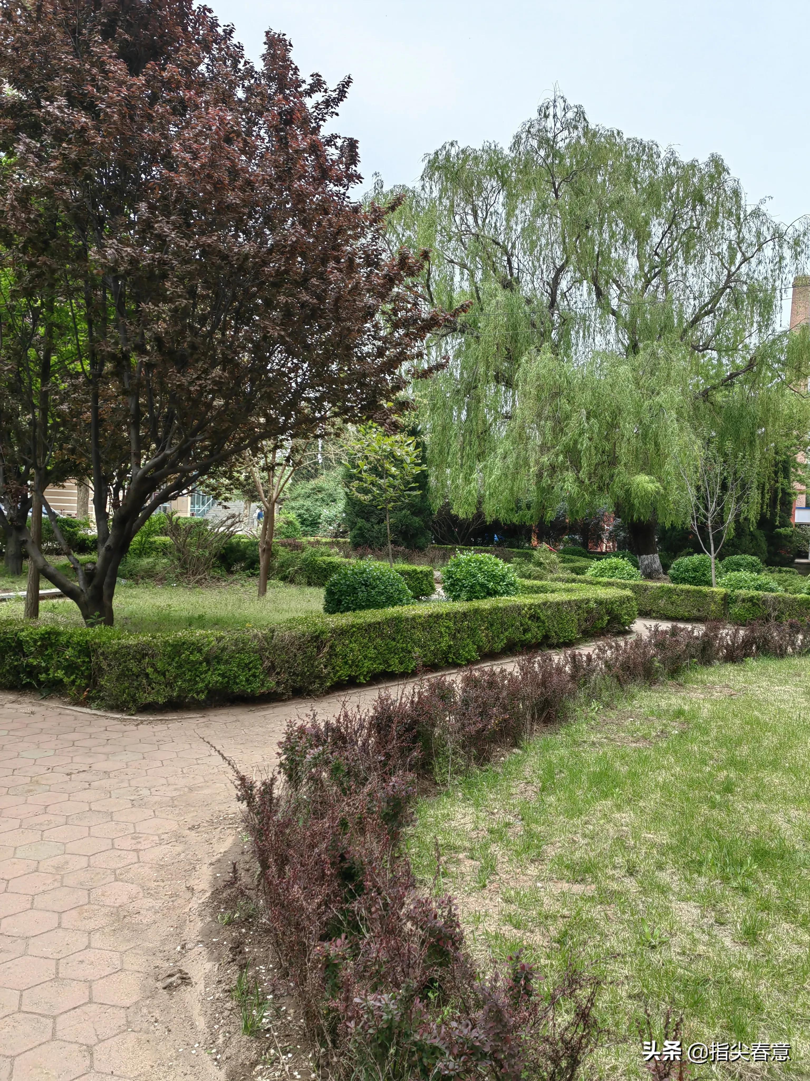 领略世间的姹紫嫣红,视线所及之处尽是葱茏的绿意