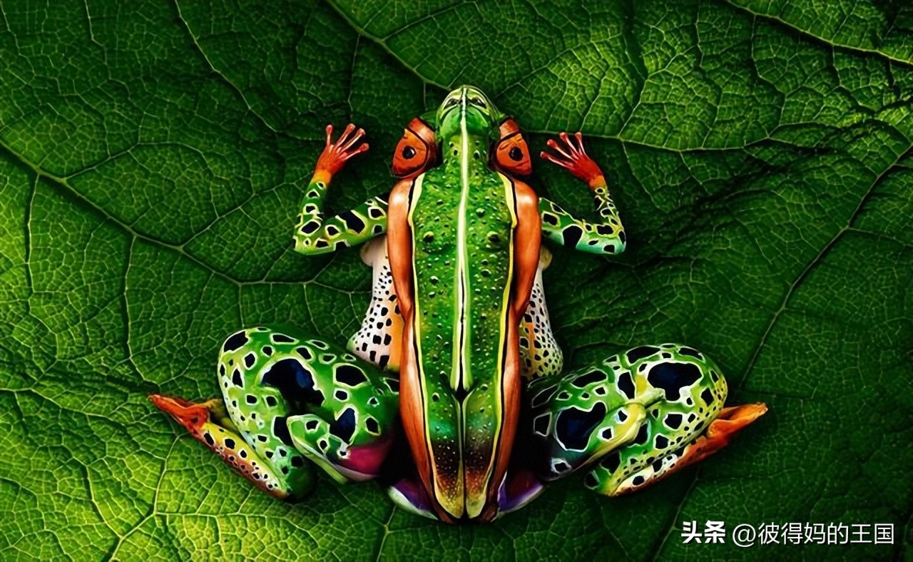 惊艳你的人体艺术！