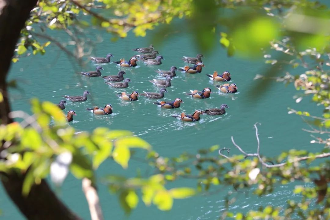 海美、小吃巨好吃！这个神还原游戏世界的小城，不该这样被埋没！
