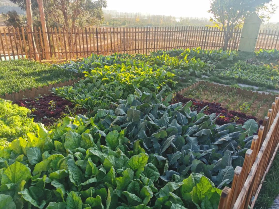 在休闲度假区有什么项目可操作,快来看看哪些项目更受欢迎