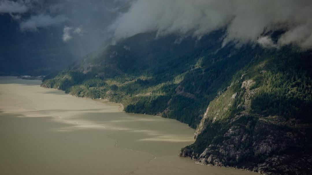 好文分享的英文,好文分享创作的原声