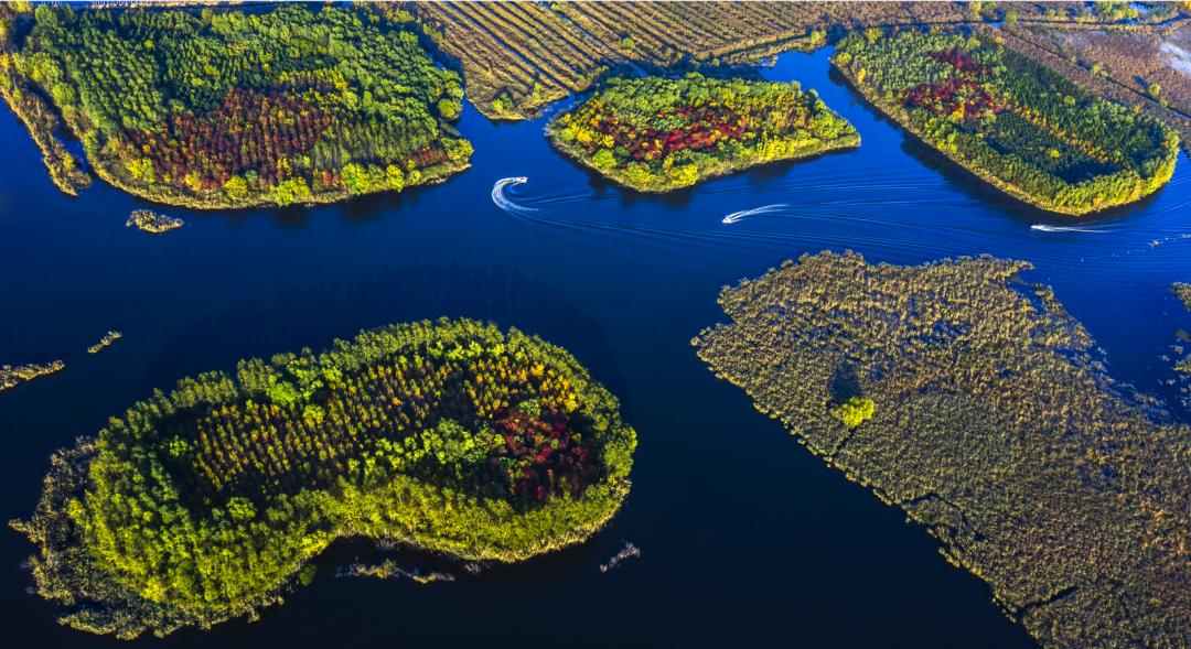 学习贯彻*党**的二十大精神|鱼台：惠河湿地就是一幅五彩斑斓的画卷