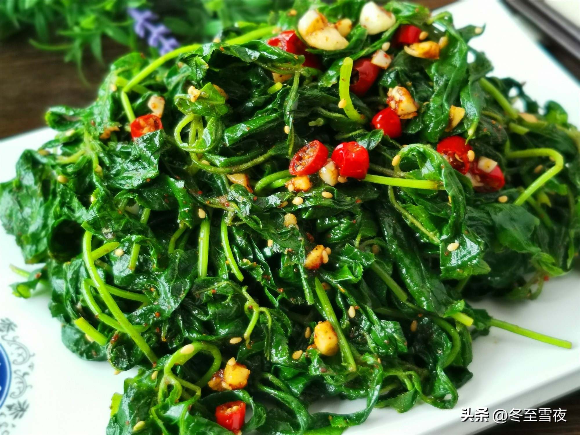 春天种植什么菜可以四季吃,春天种什么蔬菜营养好