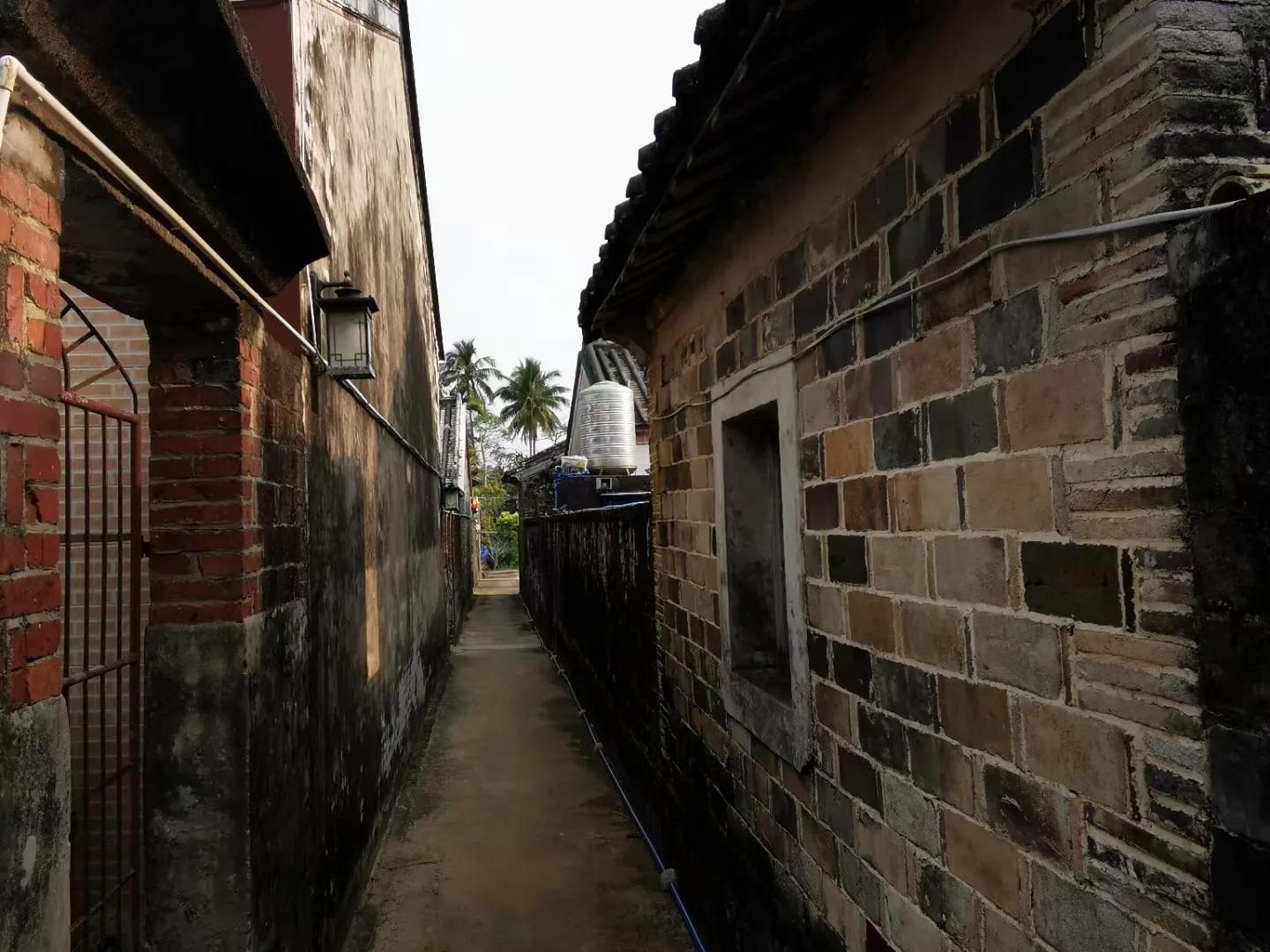 文昌椰林在哪里,文昌椰林靠海吗