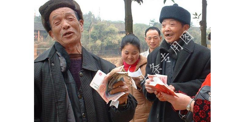 女子怀孕四个月吃煎蛋被赶出家门,女子怀孕因一个鸡蛋被抛弃完整版