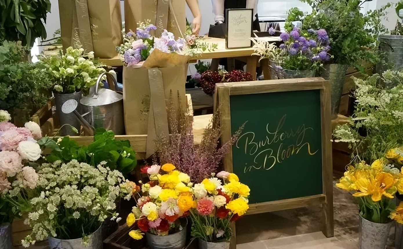 2023加盟店最火爆项目排行榜,2023年最赚钱加盟店