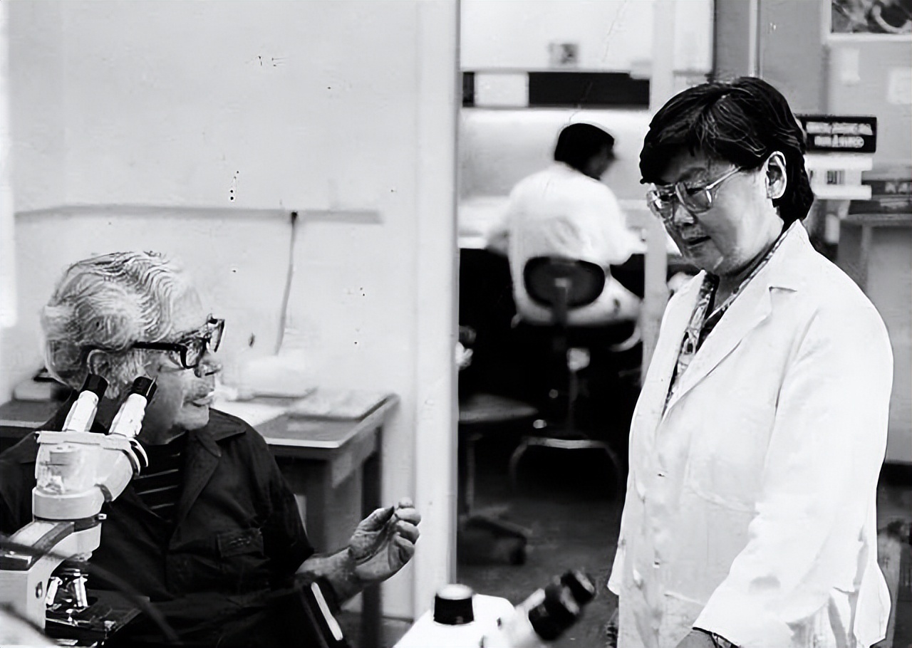 麻风病专家李桓英个人简历,李桓英对麻风病研究的贡献