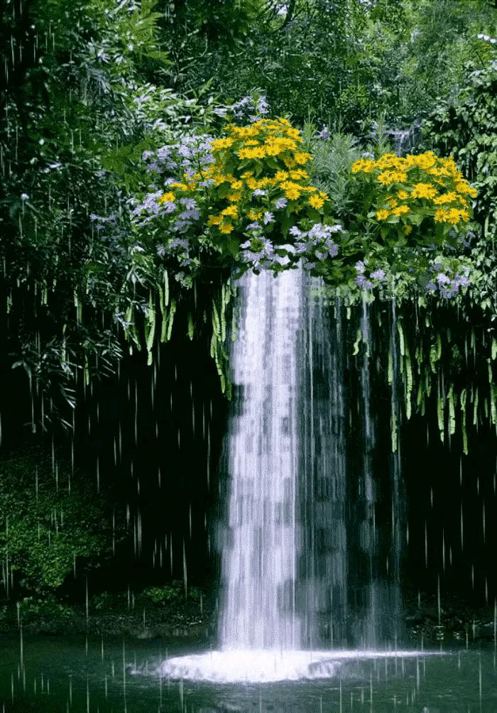 走在乡间的小路上,走在乡间的小路上口哨版