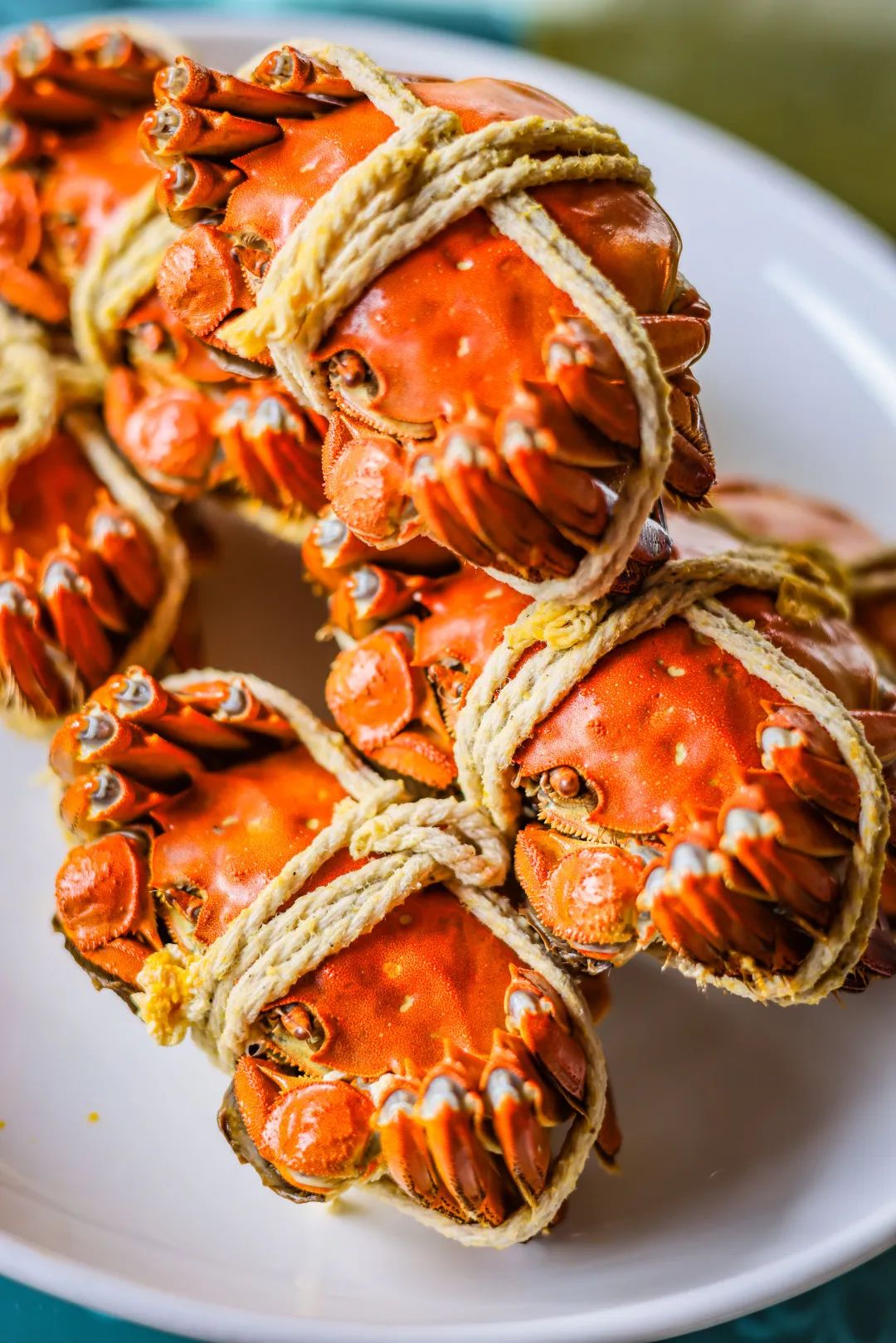 上海去苏州地铁一日游最佳路线,上海苏州地铁旅游线路