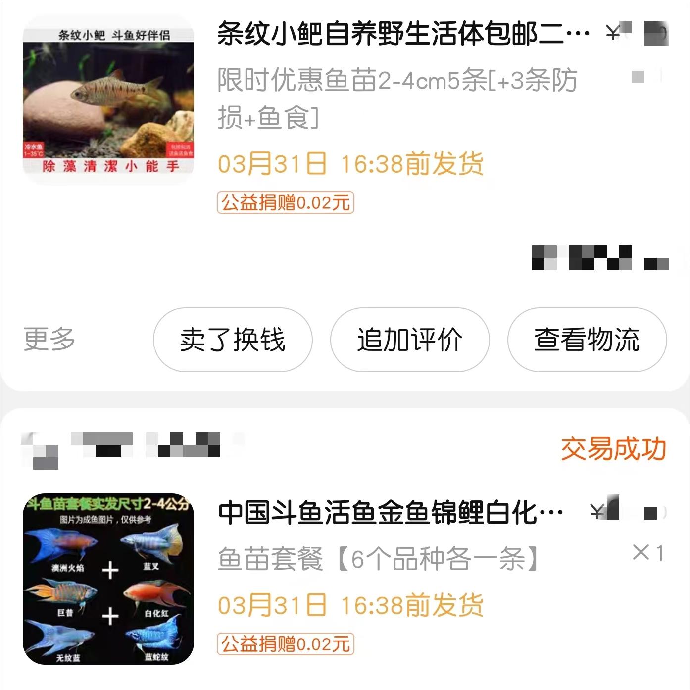 新手养斗鱼下崽了怎么办,新手养斗鱼零基础入门