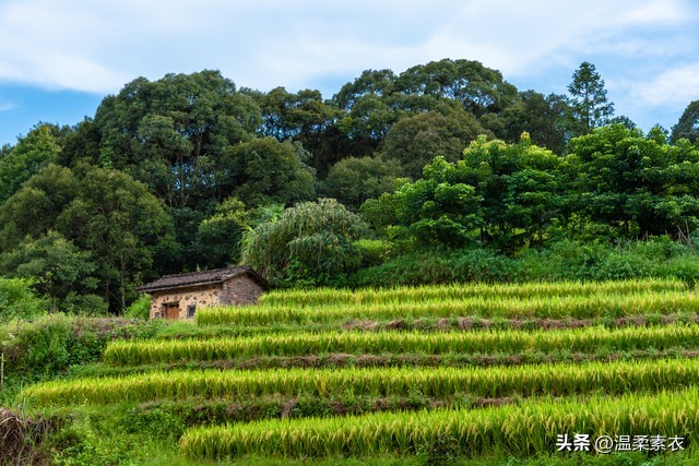 一件30年前的衣服，被我珍藏在记忆里，它是一个广东靓仔送给我的