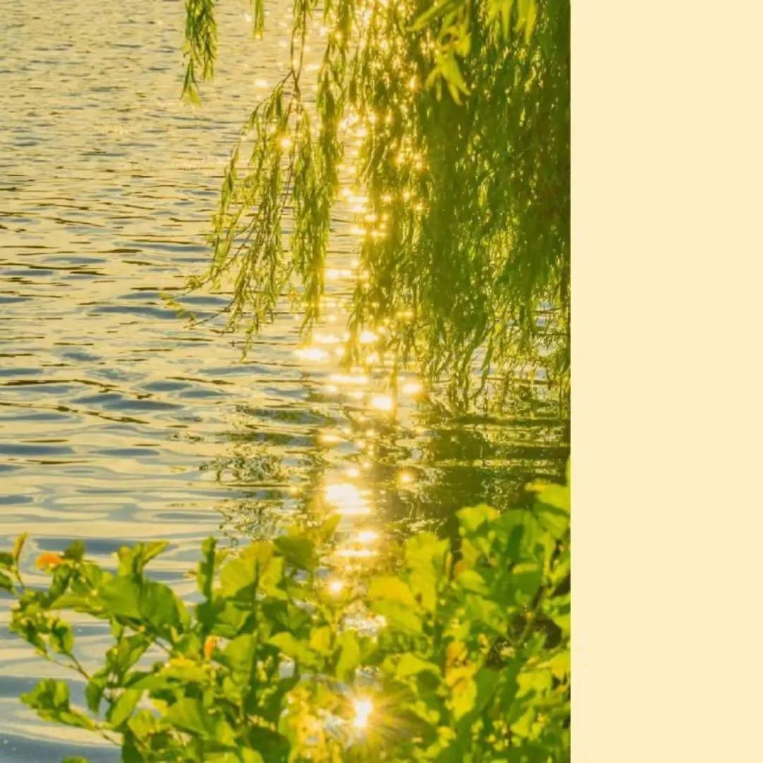 如何战胜内心的恐惧txt,如何战胜内心的恐惧与自卑书籍