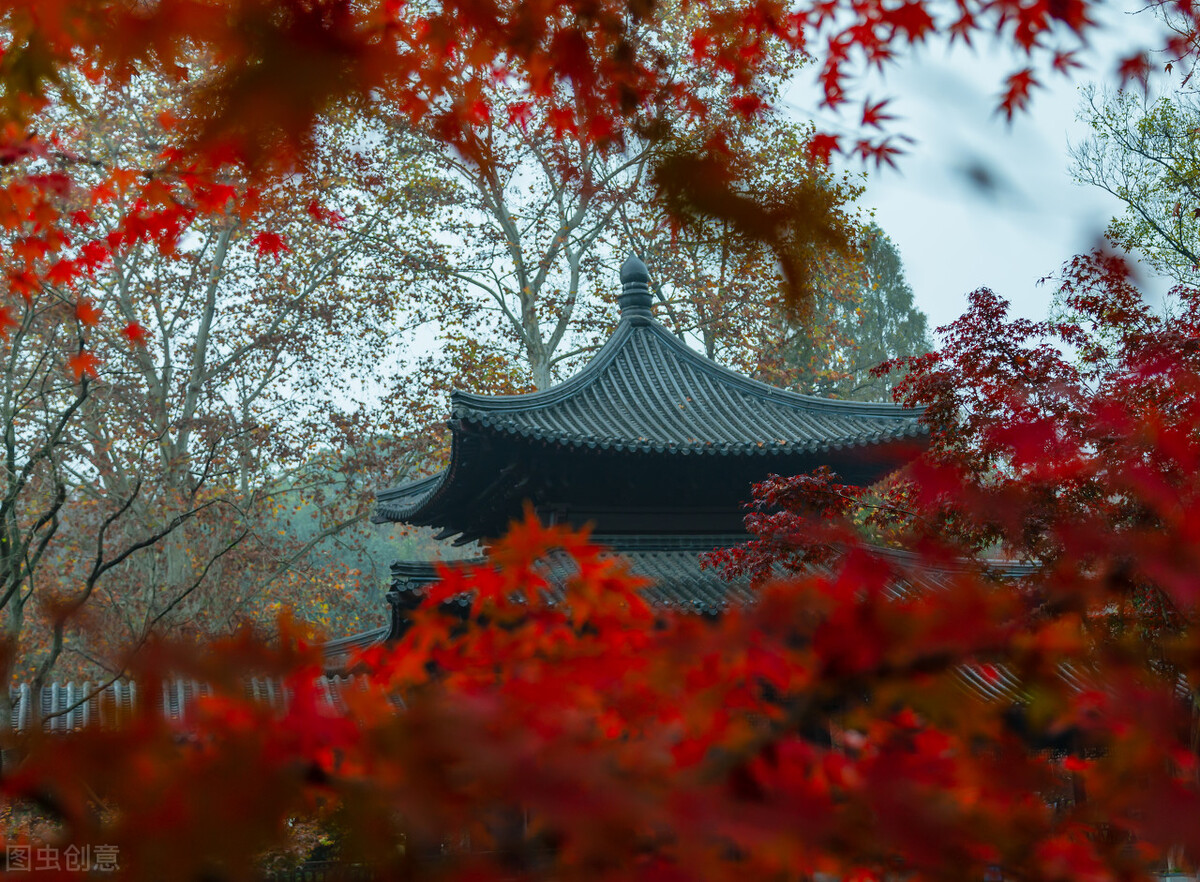 11月份去哪里玩最好玩呢,十一月份秋天适合去哪旅游国内