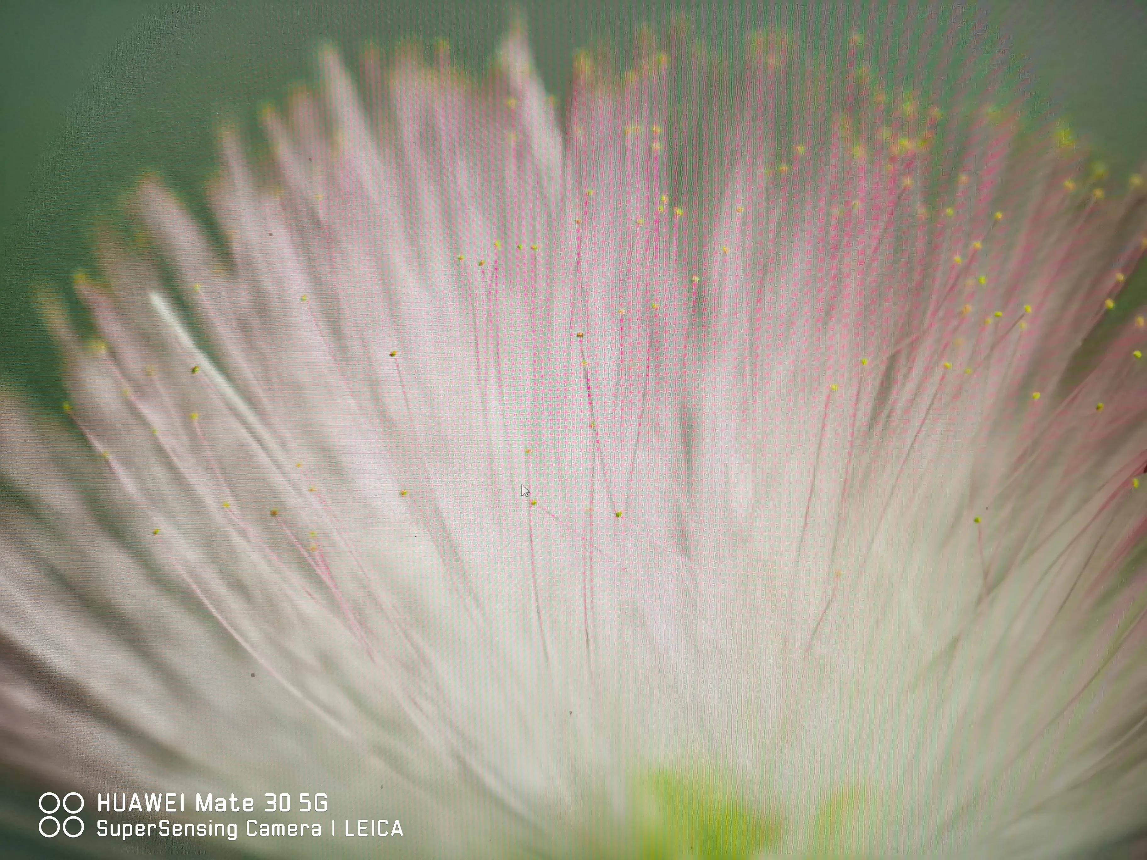 什么是复盘作品,什么是复盘股票