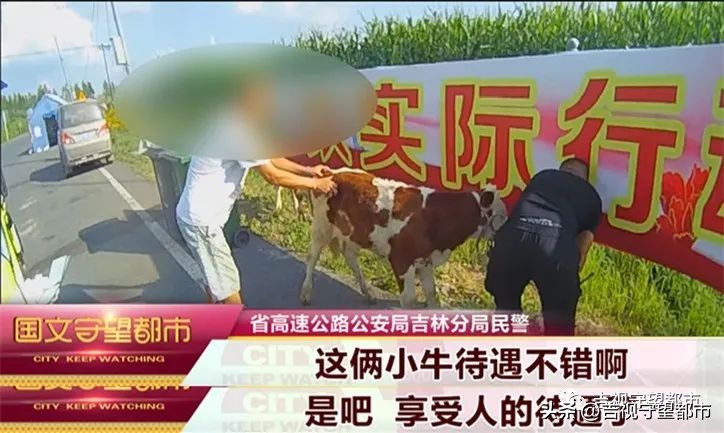 涓よ締灏忕墰,涓や釜灏忕墰