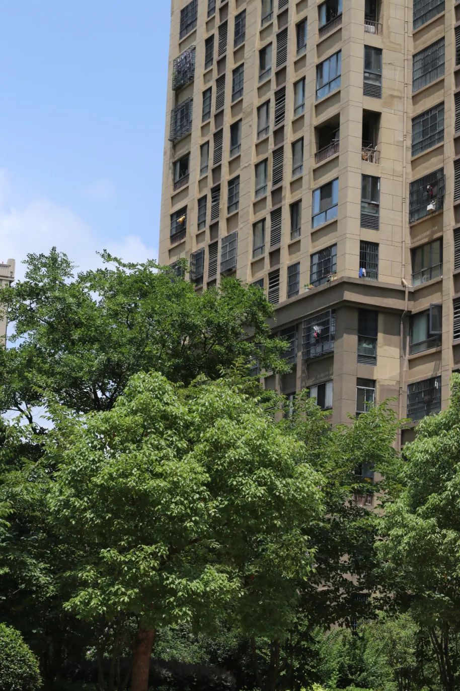 合肥滨湖新区历史房价涨幅,合肥涨幅最高的区域