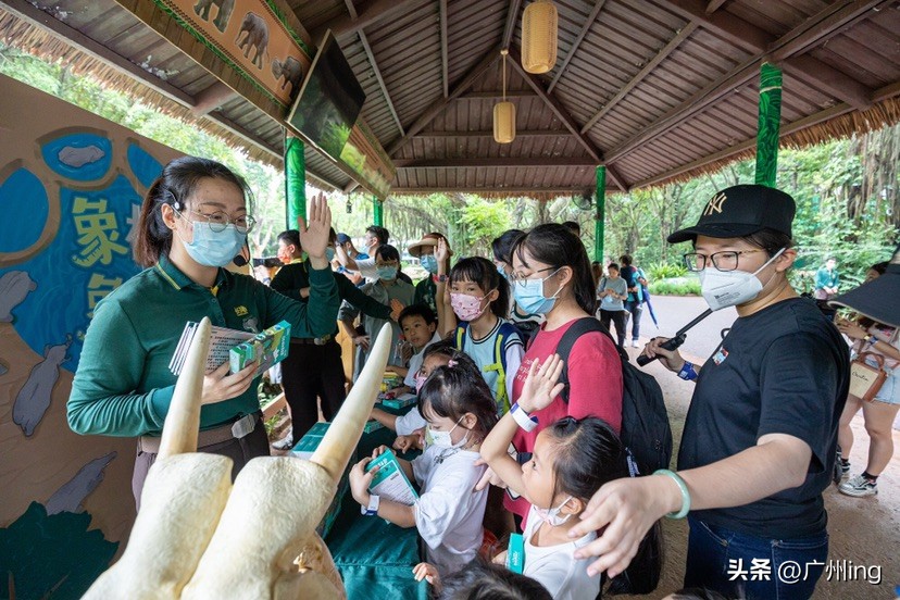 世界大象日了解亚洲象大种群,大象培育巨象