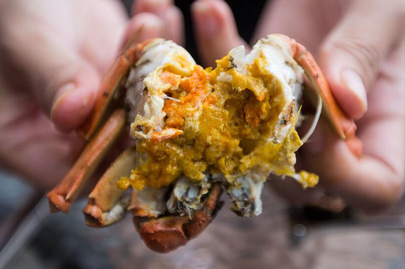 又肥又有膏的螃蟹怎么挑,教您几招挑选螃蟹的妙招