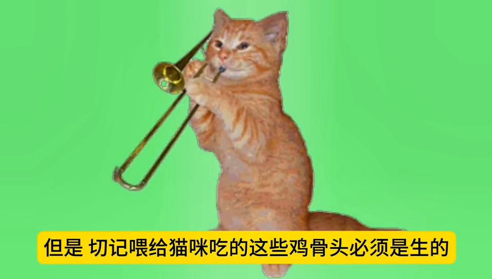 猫咪可以吃鸡骨,猫咪吞食鸡骨头