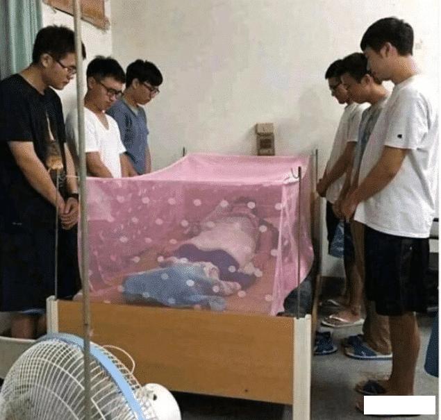 室友新买的蚊帐怎么感觉怪怪的,为什么刚买的蚊帐总感觉哪里不对