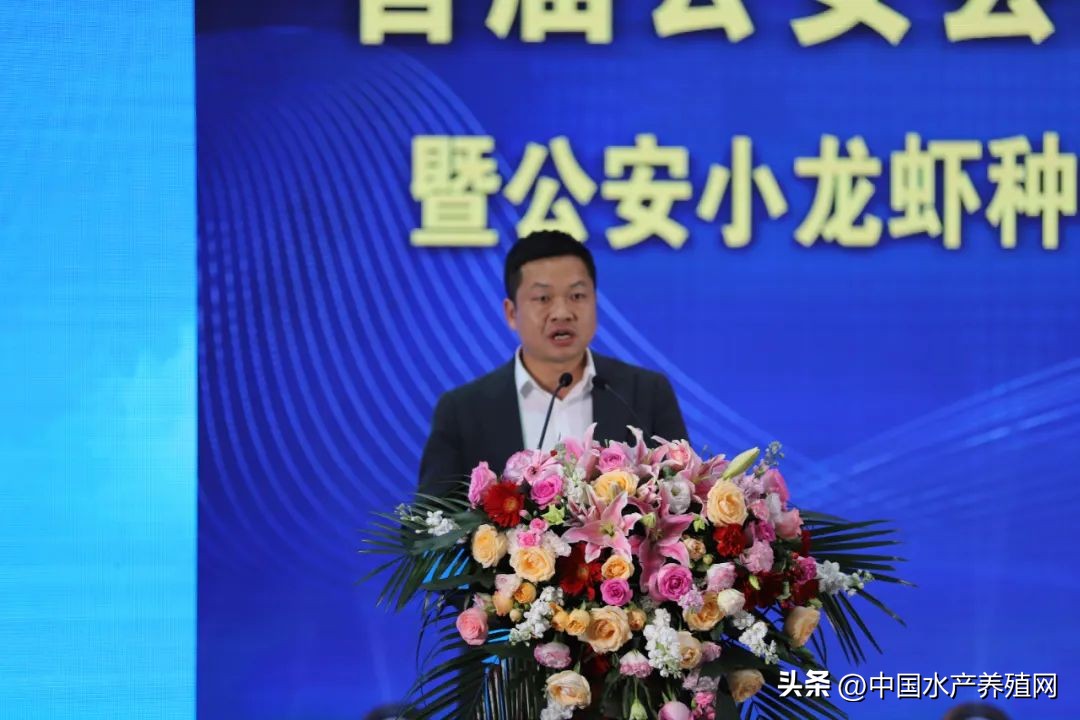 阳澄湖大闸蟹路线图,去阳澄湖大闸蟹攻略路线