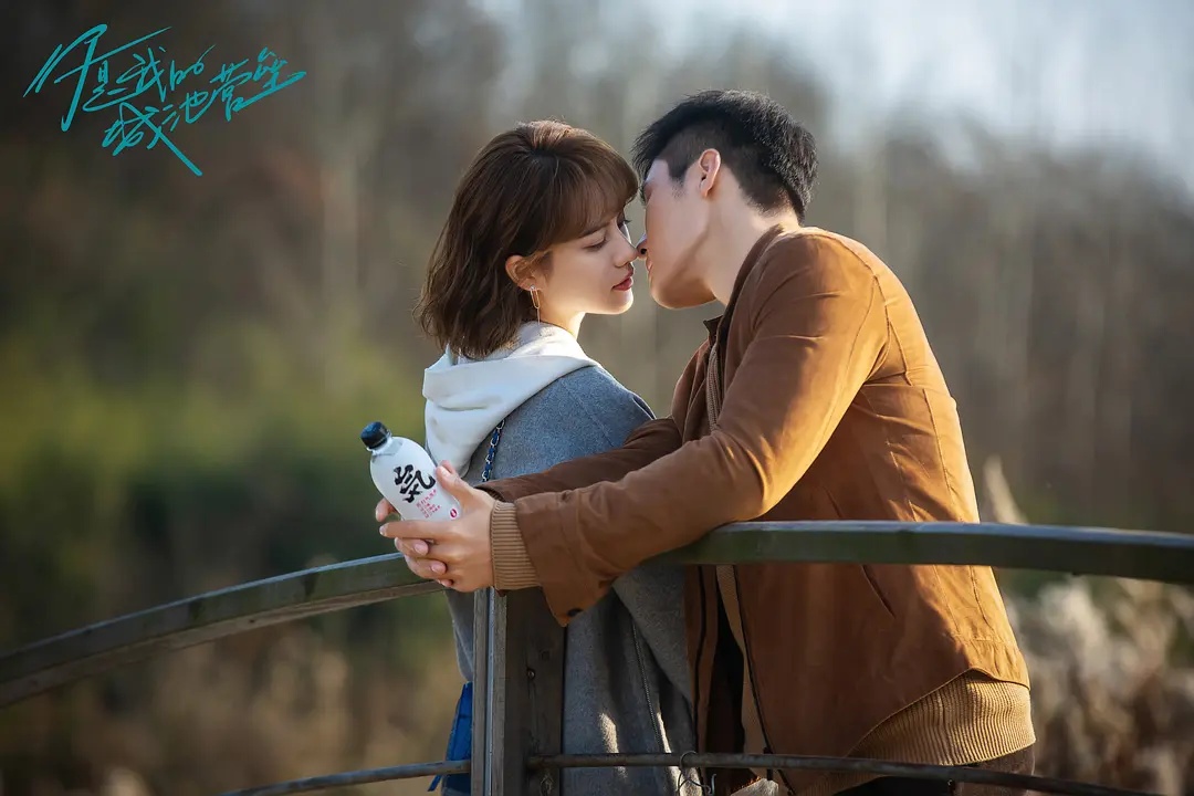 十部熬夜必看高甜宠外国电影,15部熬夜必看高甜宠韩剧