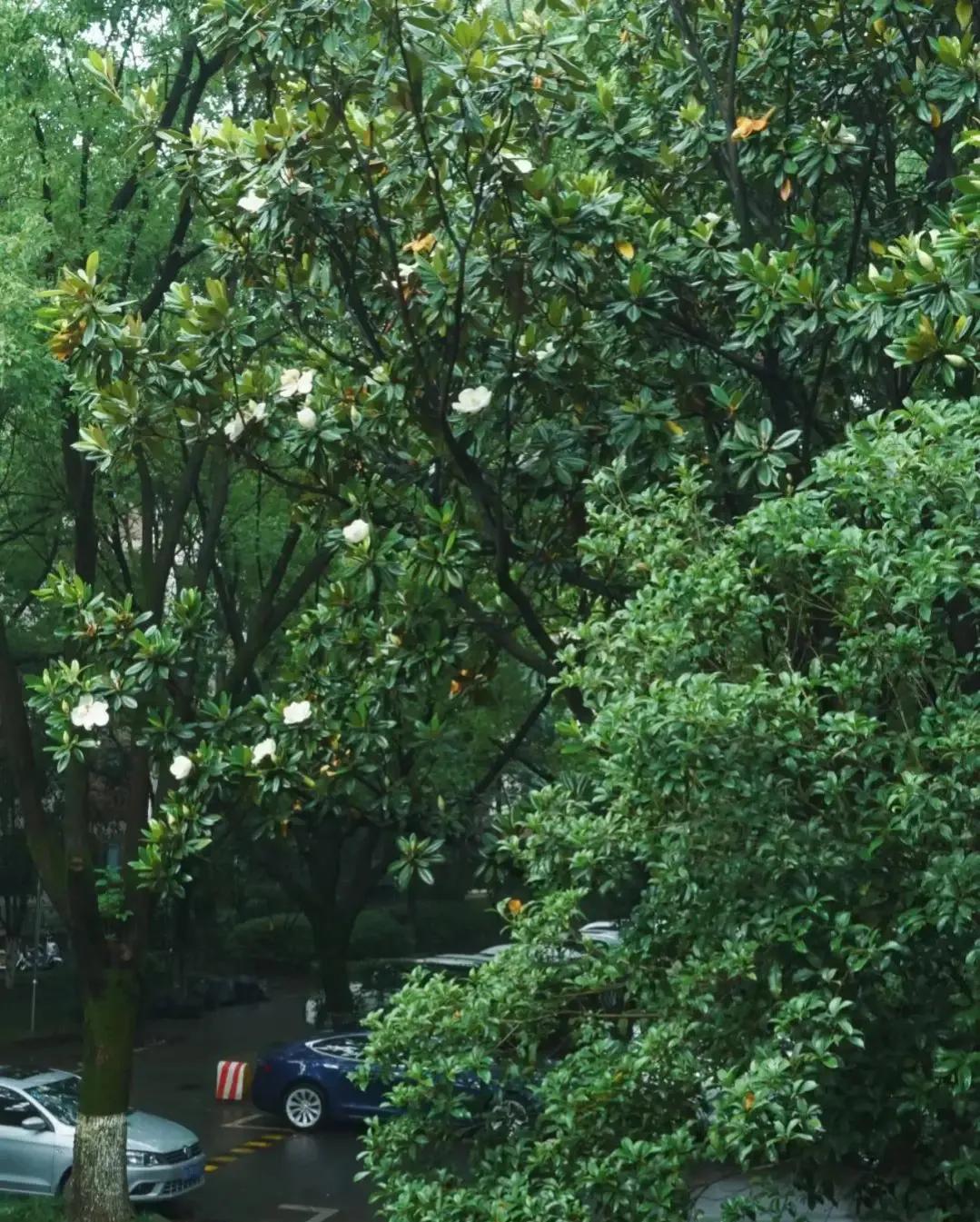 江苏发现一户人家太会装修而走红,安徽房屋室内装修隔断效果图