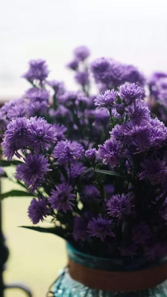 岁月斑驳留下来的都是静好时光,岁月斑驳愿时光静好