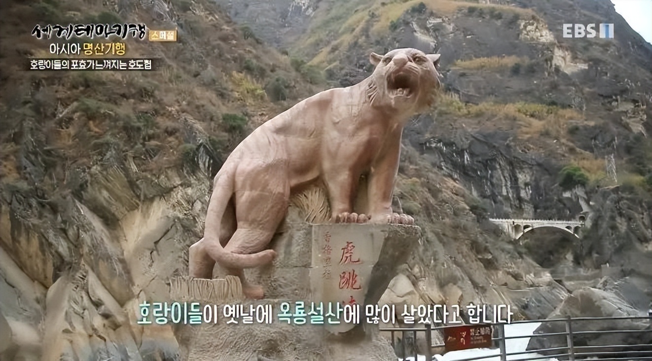 韩国人在云南虎跳峡,韩国人看云南虎跳峡