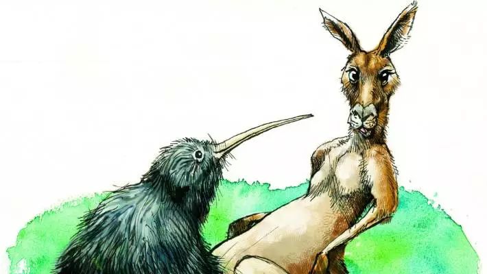 汤加海啸影响新西兰吗,汤加火山喷发致海啸完整