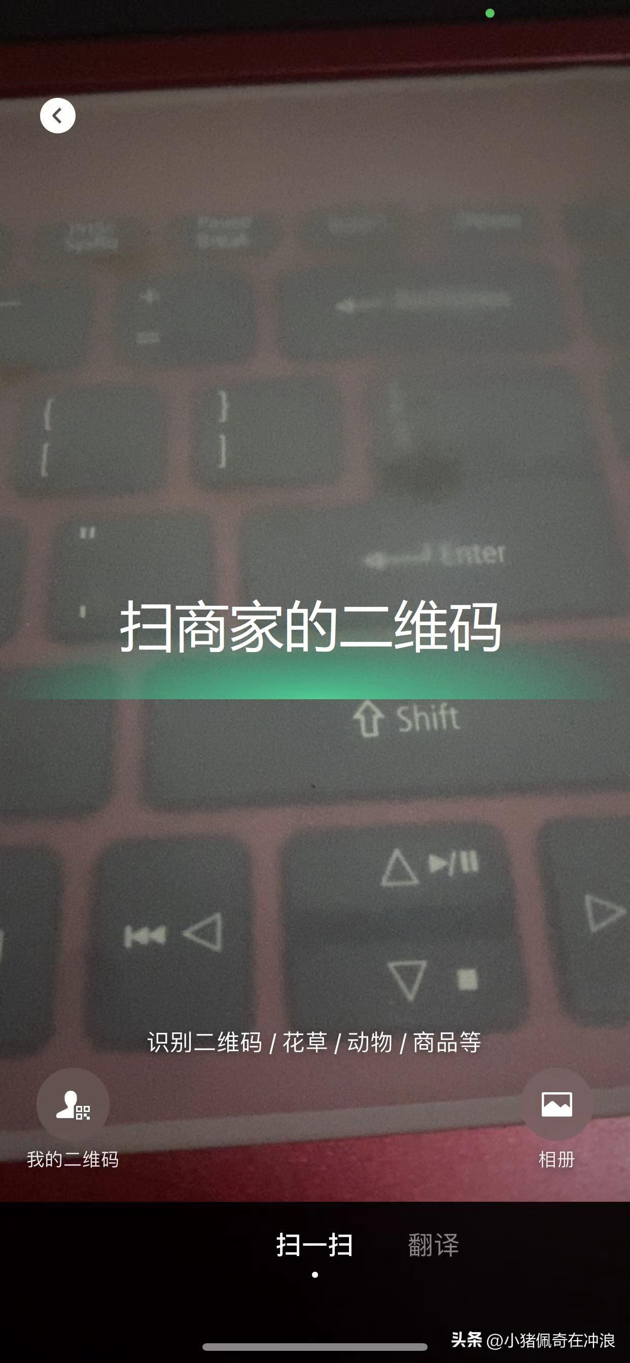 集市买菜怎样用微信付款,菜市场买菜如何用微信付款