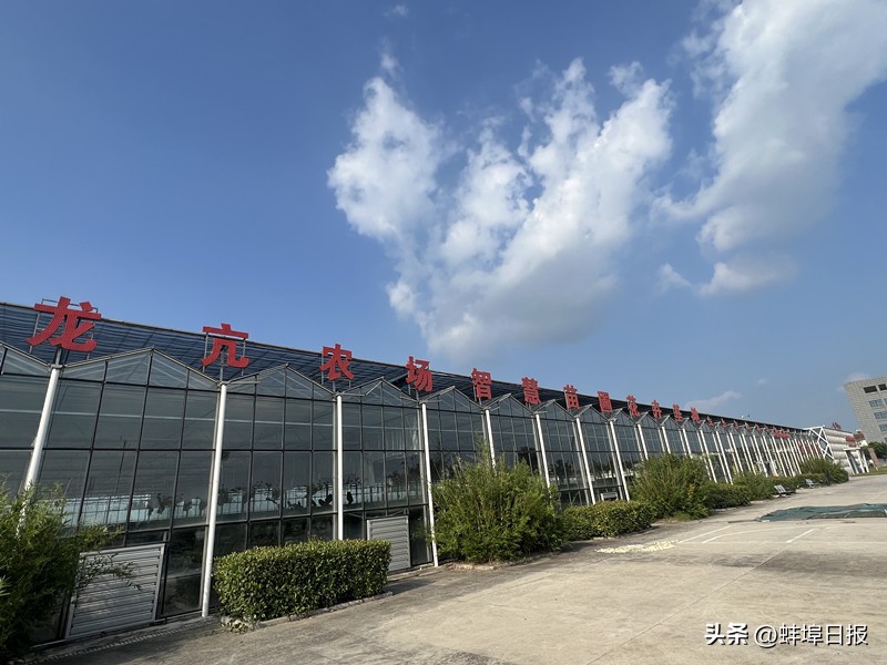 牵住科技创新的牛鼻子,紧紧牵住科技创新的牛鼻子