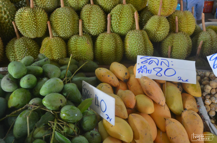 上班族可以旅游吗,现在普通人可以随便出国旅游吗