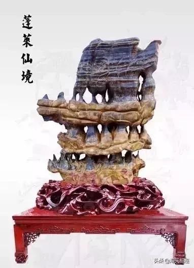 难得一见的仙鹤假奇石,这些难得一见的奇石美醉了