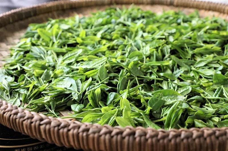 重磅！桥城五月欢乐季，2023年都匀市文化旅游玩法全网发布