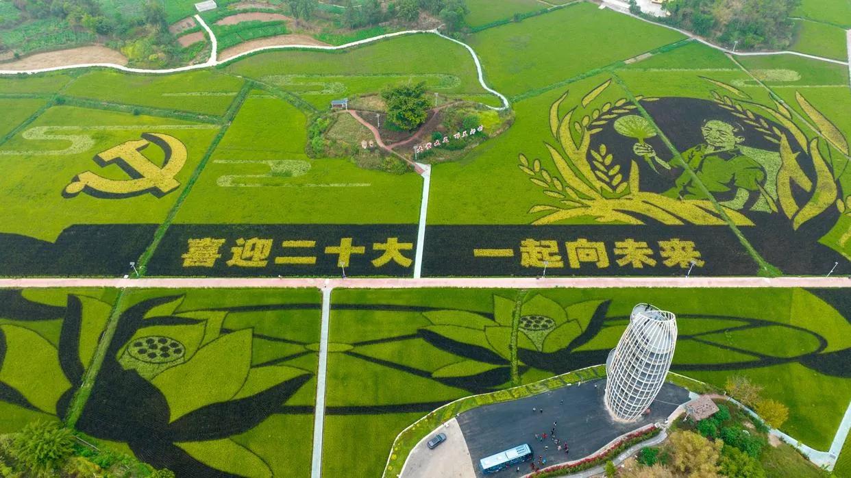 大足隆平五彩稻田有什么特色,重庆大足隆平五彩田园景区